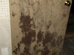 Mold Testing in Virginia