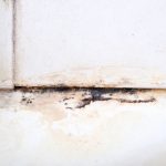 Mold at the base of a shower