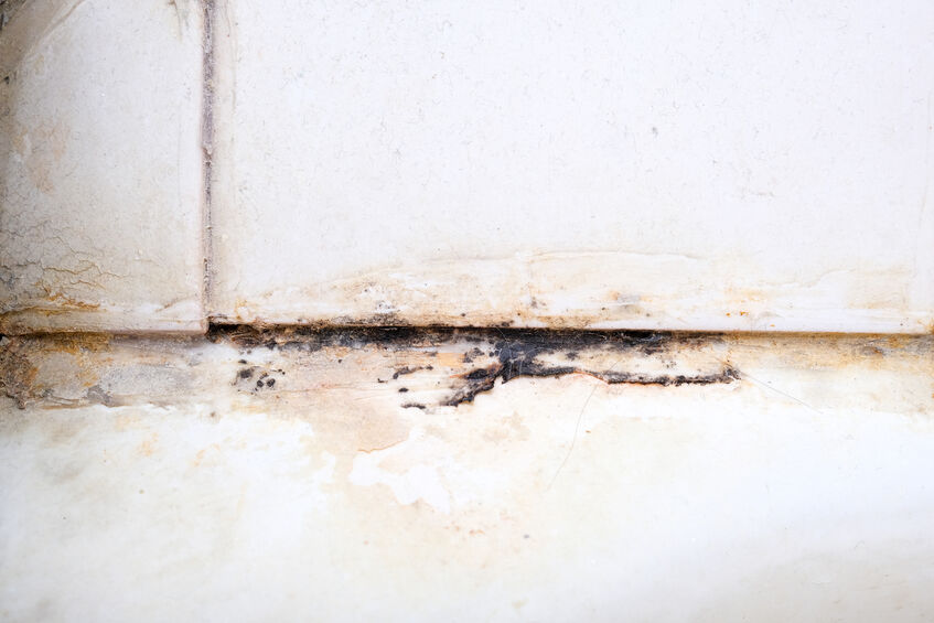 Mold at the base of a shower